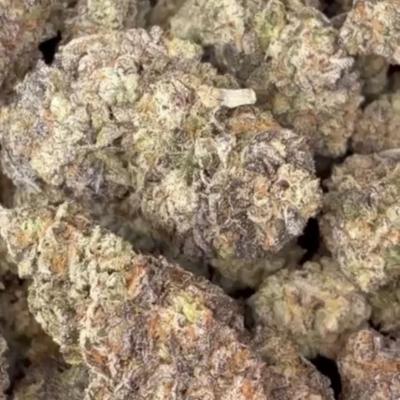 ♦️508-066-182♦️ ❄️COCO❄️⚜️M3FKA⚜️🇳🇱W33D